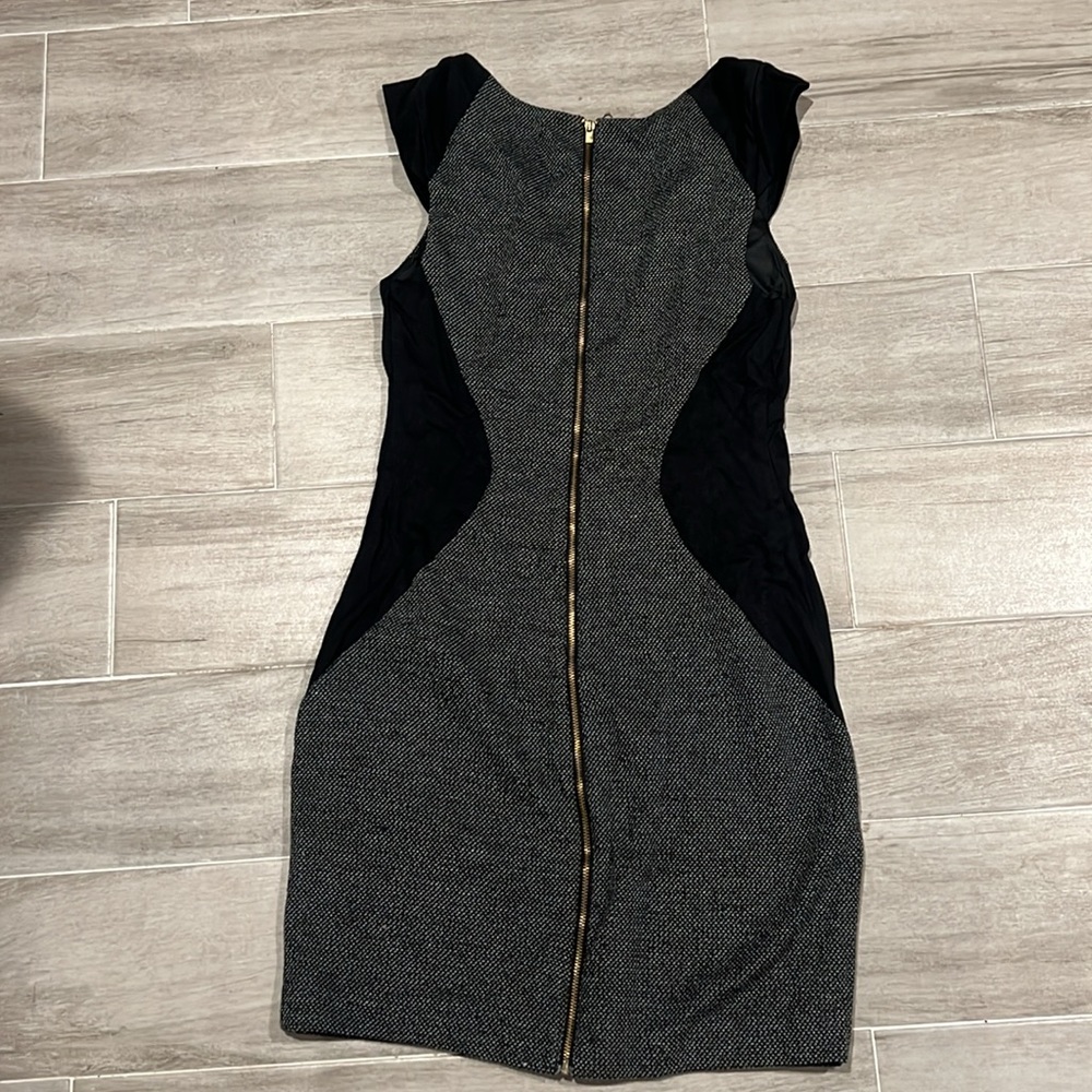 Express Dress - Picture 4 of 5